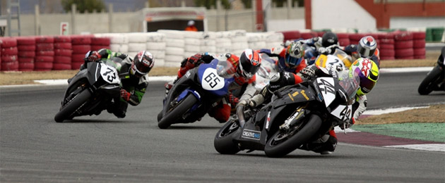 manchego 2012 albacete