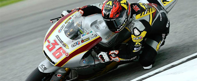 mika kallio
