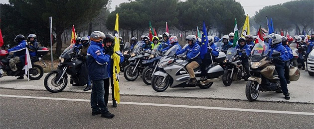 pinguinos 2014