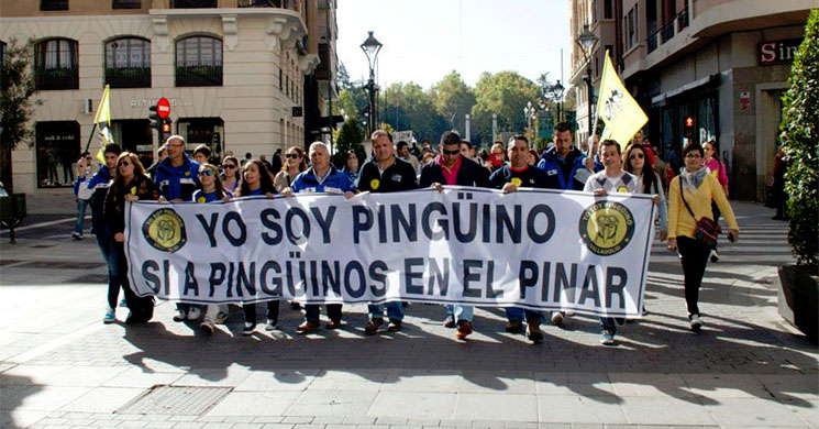 pinguinos