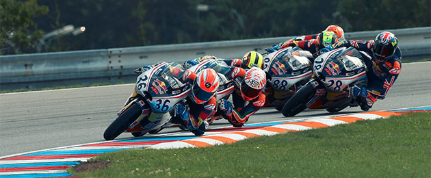 red bull rookies cup