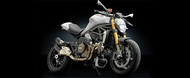 rizoma ducati monster