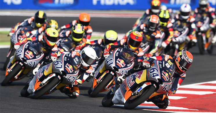 rookies cup