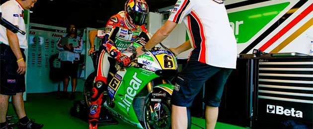 stefan bradl 2014