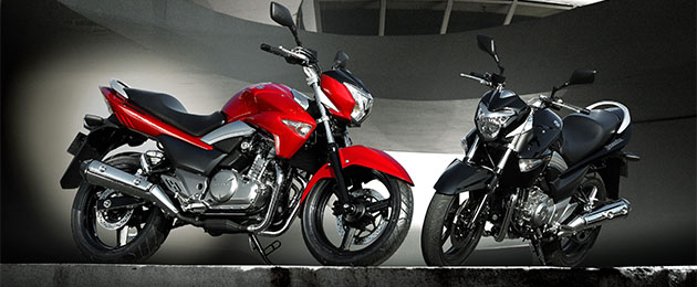 suzuki inazuma 250