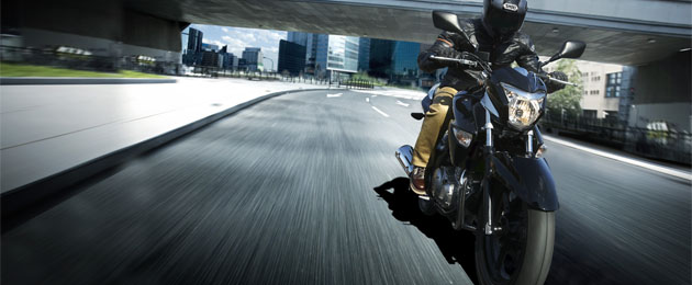 suzuki inazuma 250