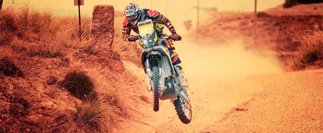 suzuki rally team