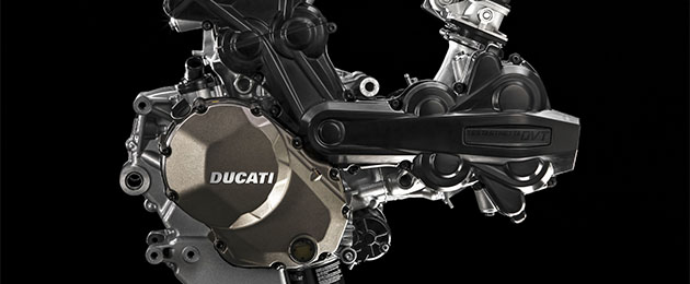 Testastretta dvt