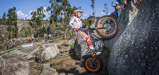 toni bou 2015
